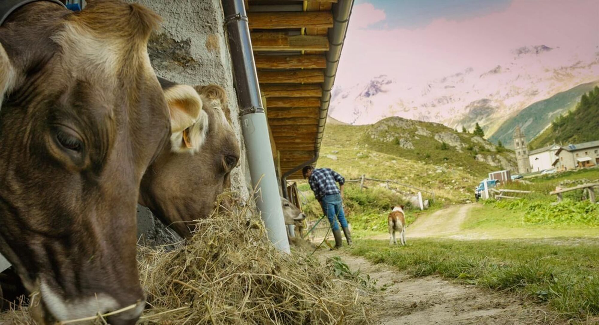 La via del latte, fra tradizione e futuro