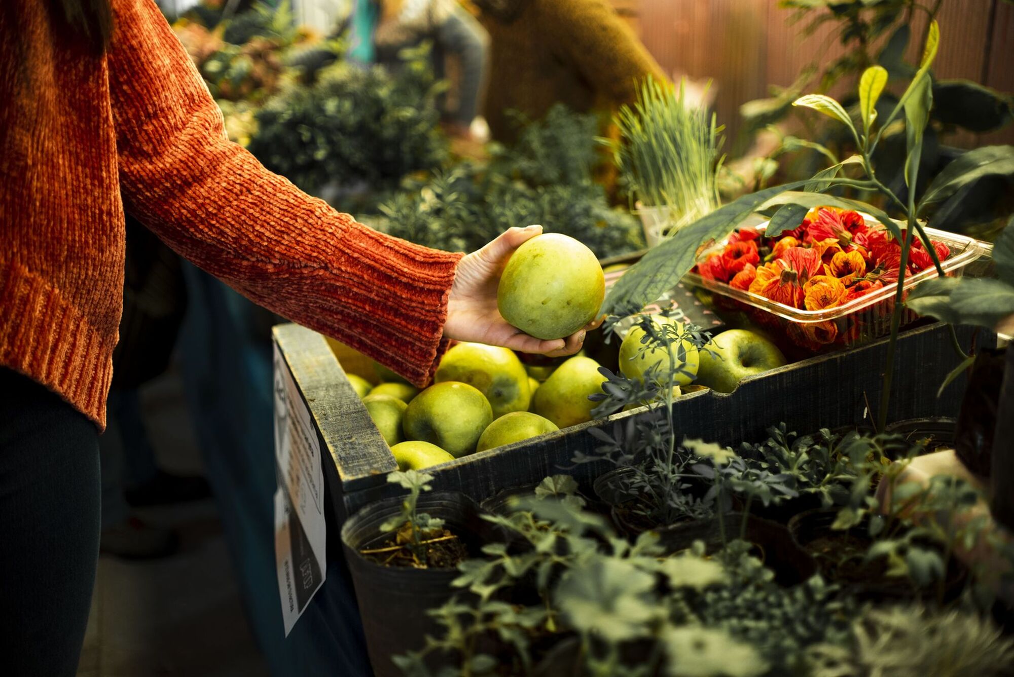 Un nuovo anno, un nuovo modo di stare col cibo