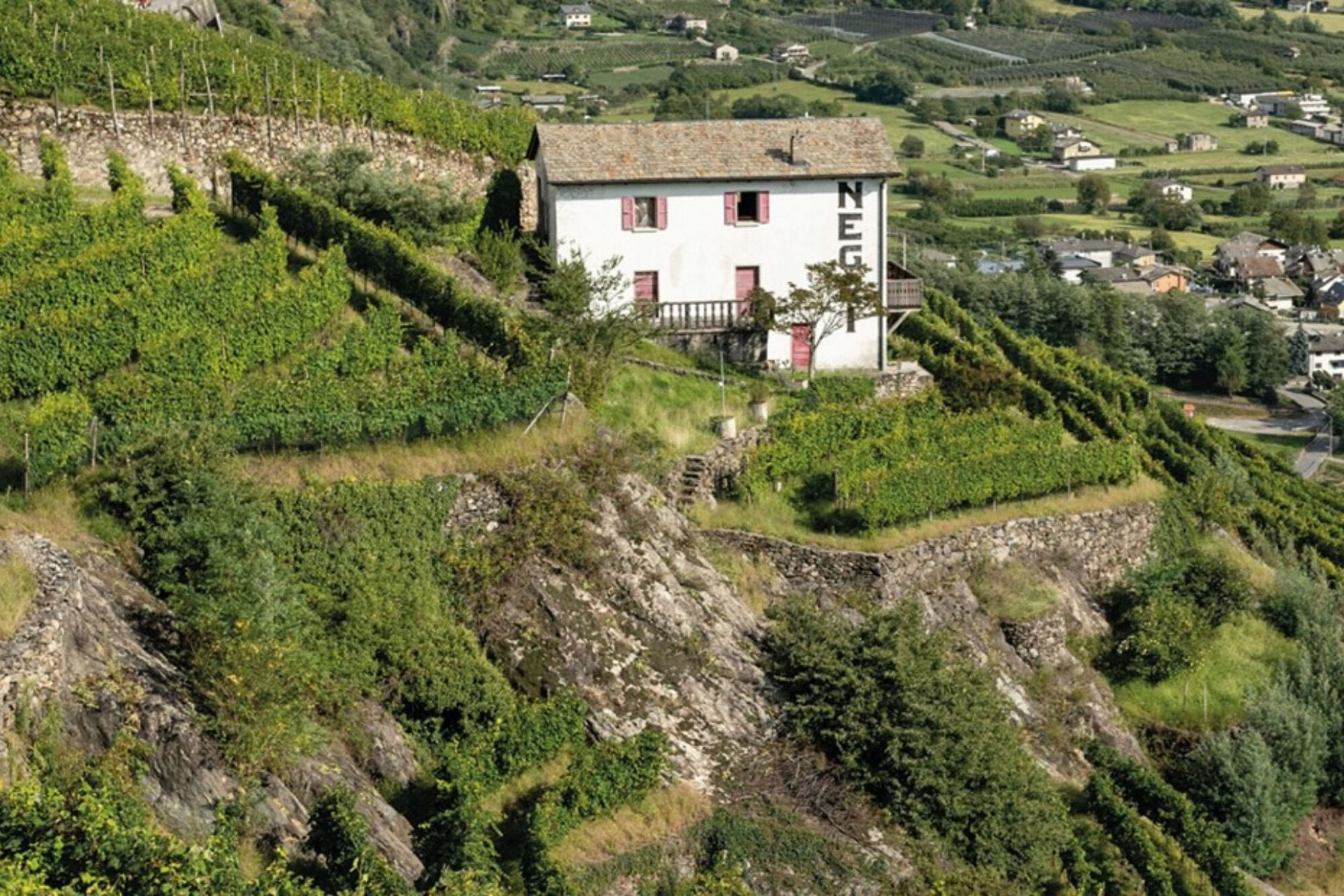 Wine Trail, in vigna si degustano le eccellenze locali