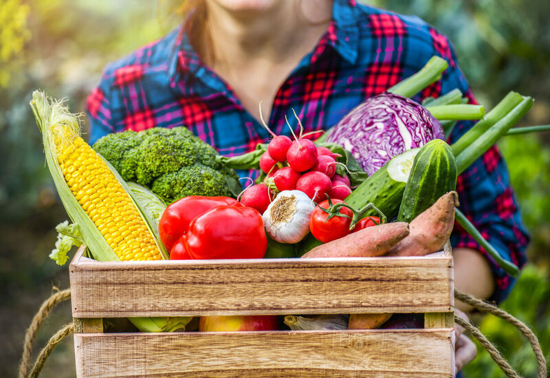 Ortaggi e frutta: colore e varietà in primo piano 