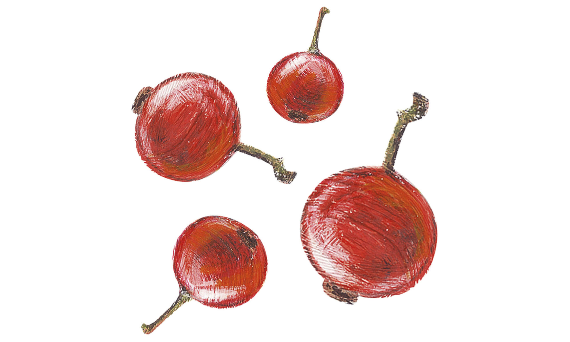 Mangiare a colori: il ribes, per chi vuole osare in cucina!