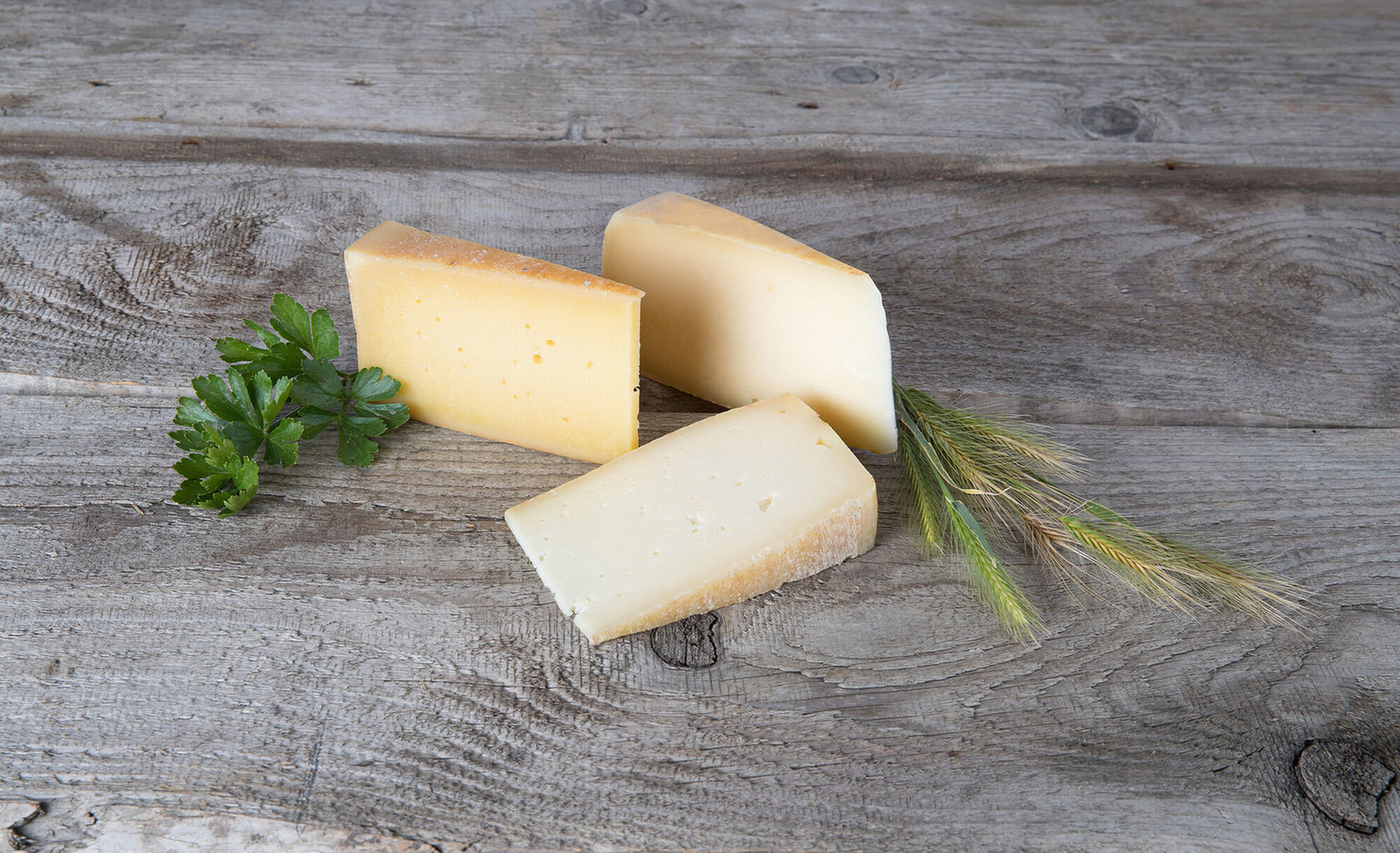 Formaggio, benefici per la salute e il gusto. Parla il Cardiologo