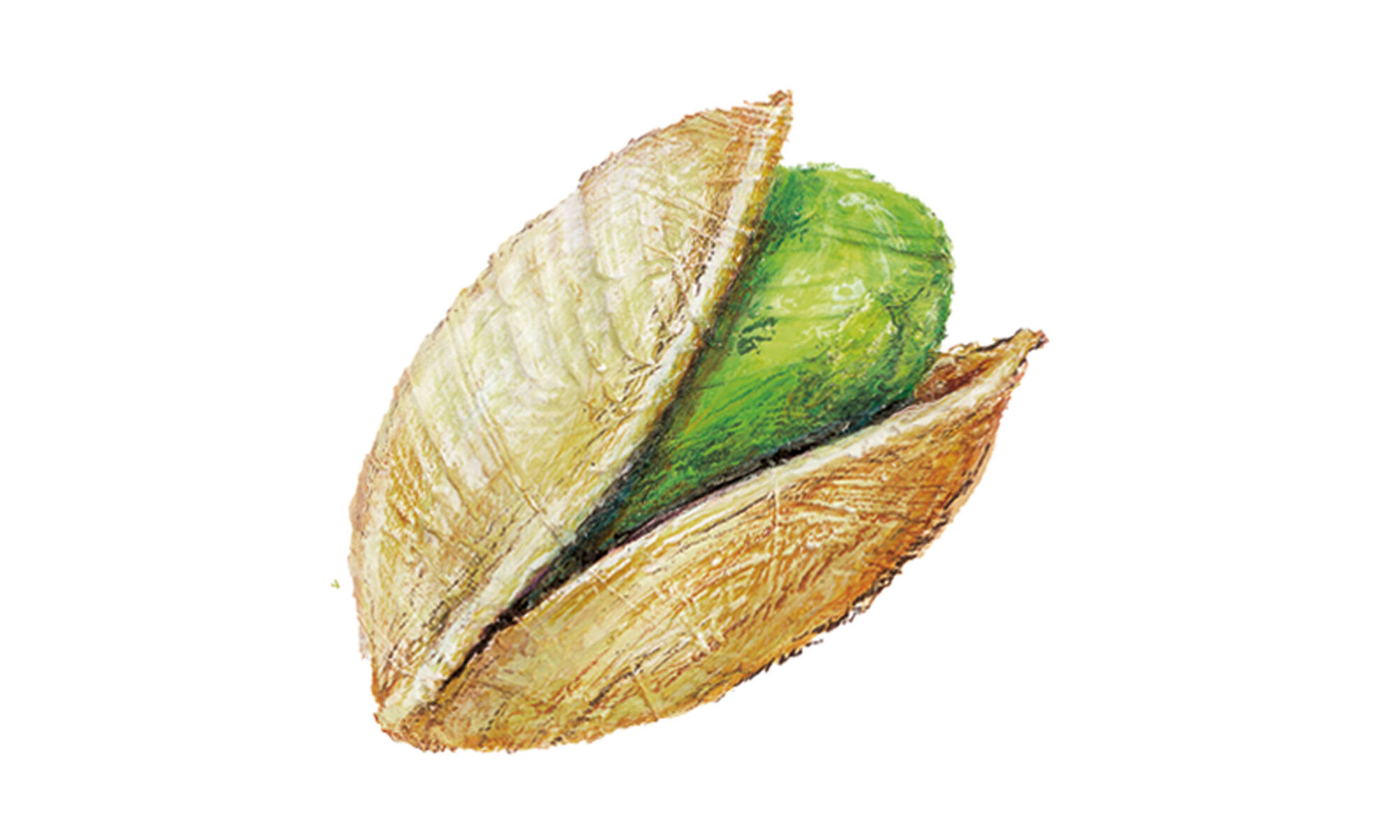 Mangiare a colori: il pistacchio, porta fortuna d'amore... e in cucina!