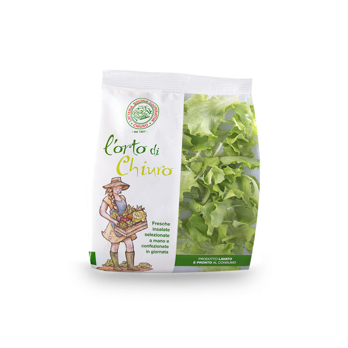 Baby Leaf Salad