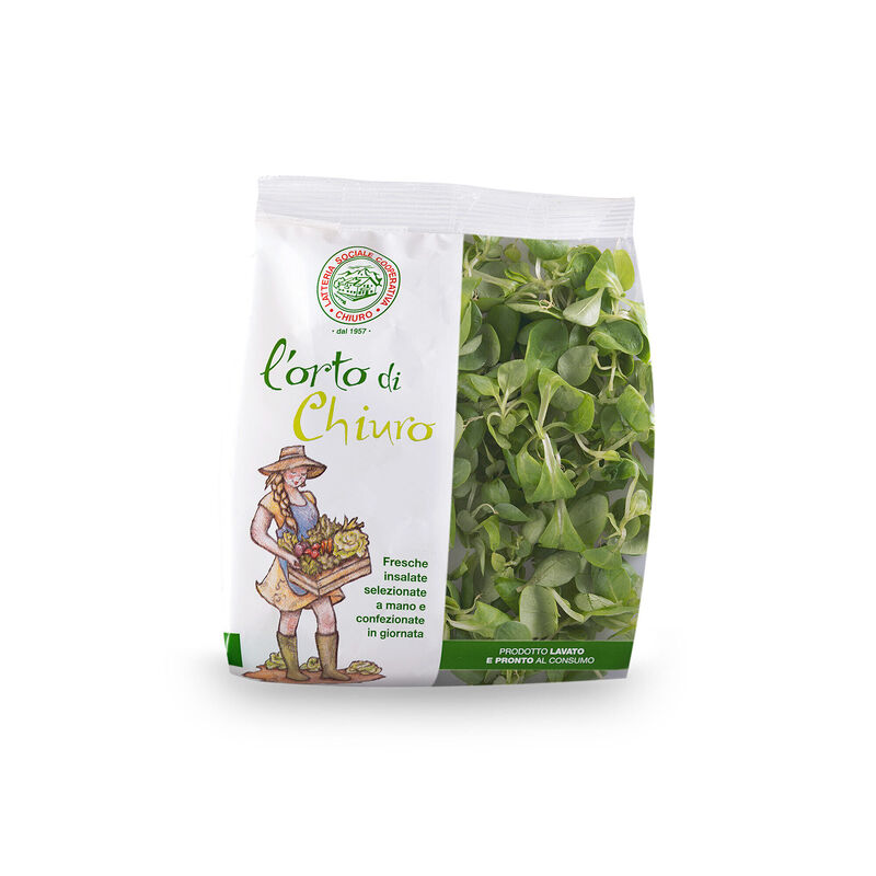 Lamb’s Lettuce